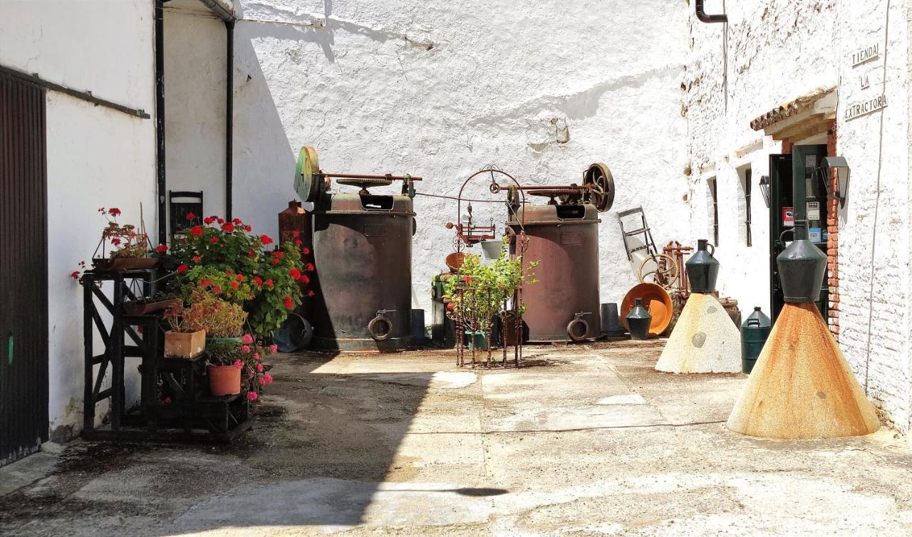 Molino El Vinculo Pension Zahara De La Sierra Buitenkant foto